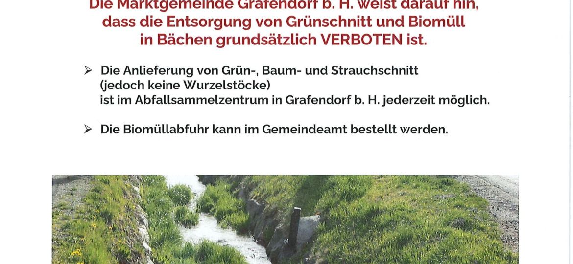 Müll im Stambach