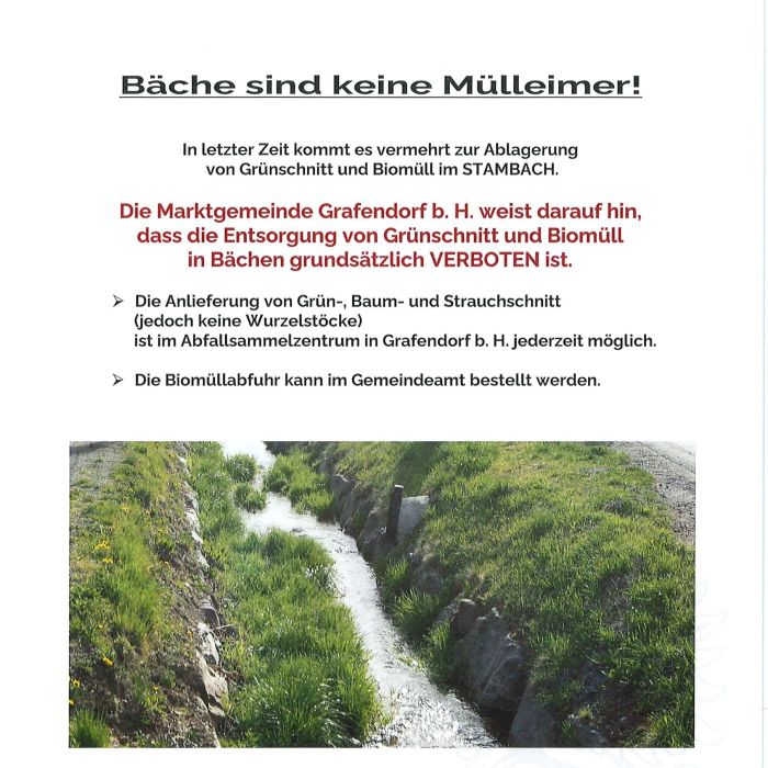 Müll im Stambach