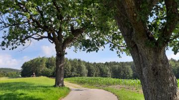 Weg Stambach-Pngrazen